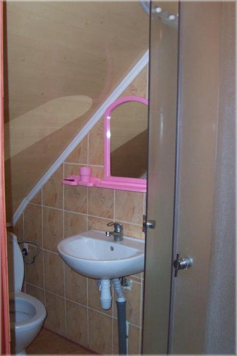 Boykivskiy Dvir Hotel Yasenitsa Zamkova Quarto foto